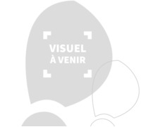 Masque respiratoire anti-poussières FFP1 boite de 20