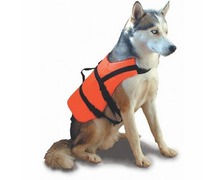 LALIZAS Brassiere chien >40kg