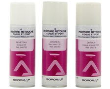 SOROMAP Aérosol 200mL peinture retouche