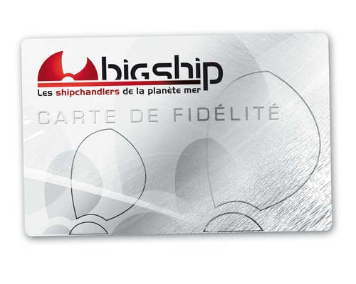 Cartes fidélité BigShip format CB (les 50)