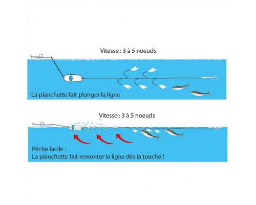 FLASHMER Traine aqua bar